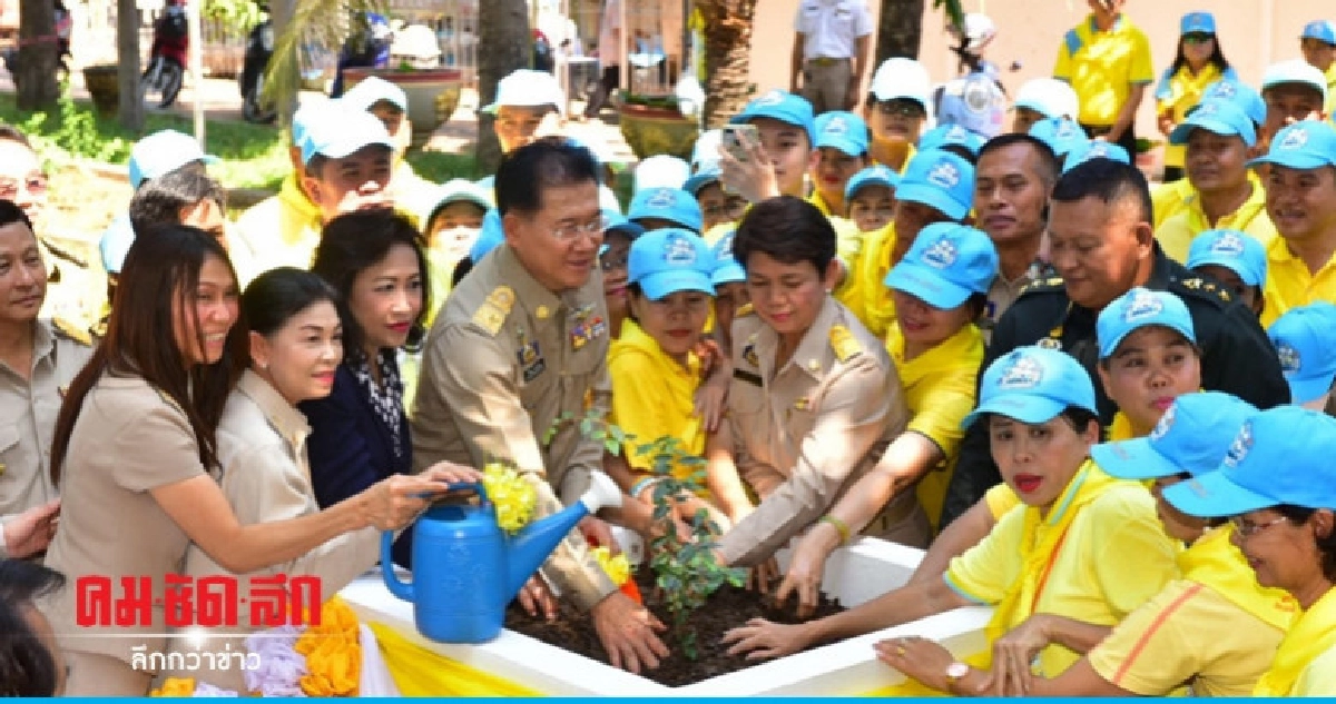 ปลื้มปีติ โคราช ปลูกต้นรวงผึ้งพระราชทาน ปลื้มปีติ โคราช ปลูกต้นรวงผึ้งพระราชทาน