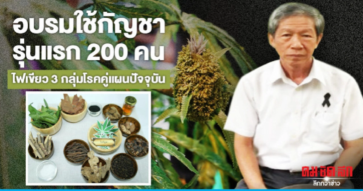 อบรมใช้กัญชารุ่นแรก200คนไฟเขียว3กลุ่มโรคคู่แผนปัจจุบัน อบรมใช้กัญชารุ่นแรก200คนไฟเขียว3กลุ่มโรคคู่แผนปัจจุบัน