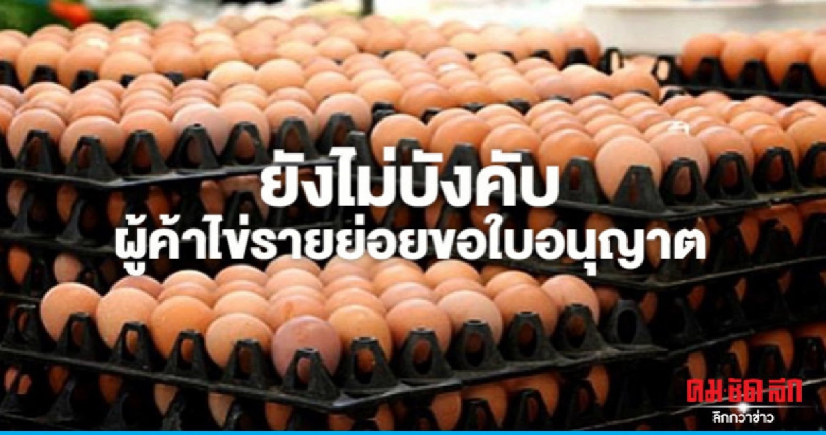 "ปศุสัตว์"ยังไม่บังคับผู้ค้าไข่รายย่อยขอใบอนุญาต "ปศุสัตว์"ยังไม่บังคับผู้ค้าไข่รายย่อยขอใบอนุญาต