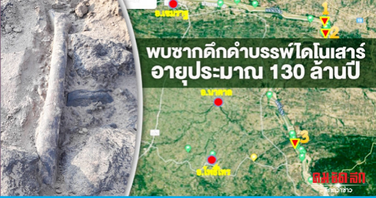 พบชิ้นส่วนซากดึกดำบรรพ์ไดโนเสาร์อายุประมาณ 130 ล้านปี พบชิ้นส่วนซากดึกดำบรรพ์ไดโนเสาร์อายุประมาณ 130 ล้านปี