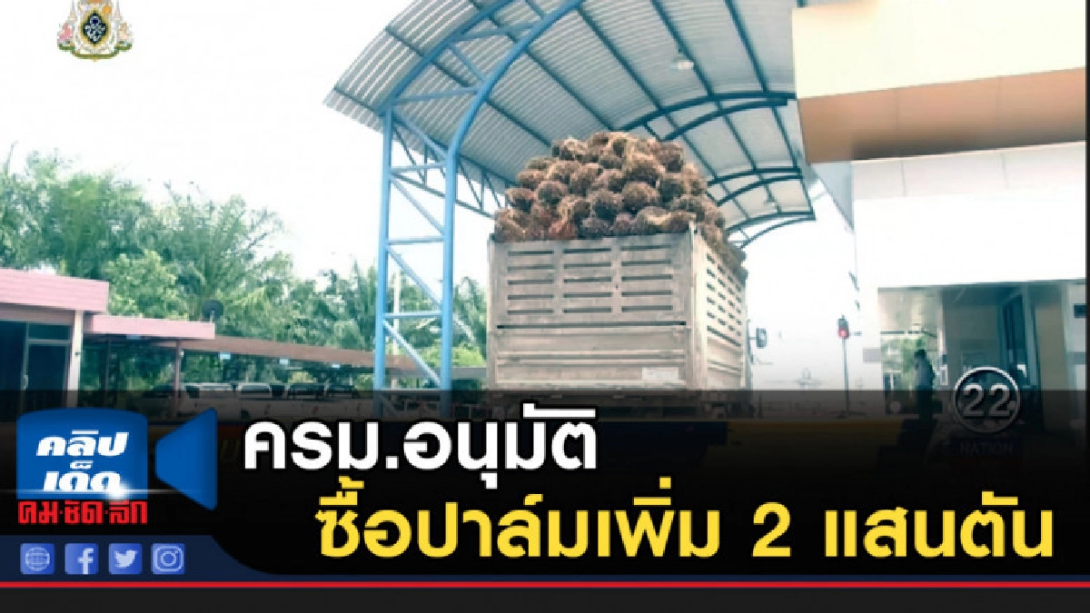 ครม.อนุมัติรับซื้อปาล์มเพิ่มอีก 2 แสนตัน ครม.อนุมัติรับซื้อปาล์มเพิ่มอีก 2 แสนตัน