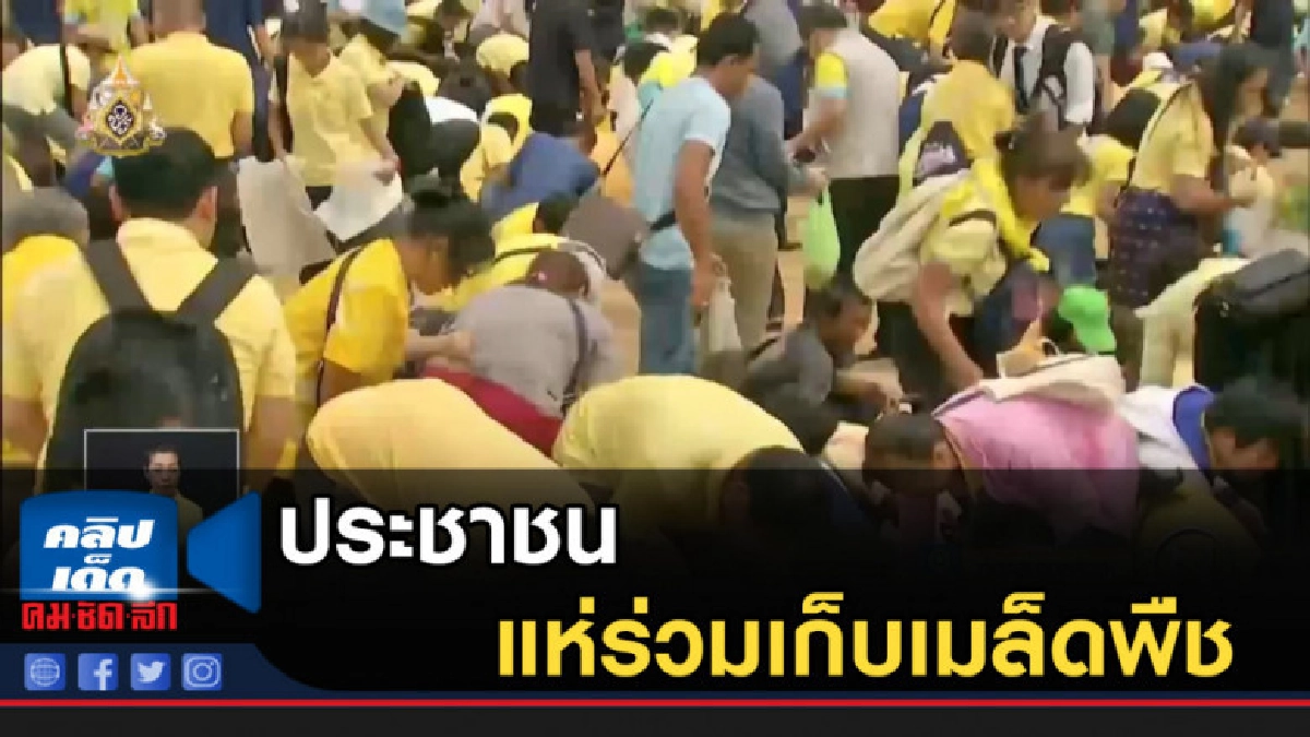 ประชาชนแห่ร่วมเก็บเมล็ดพืช ในพระราชพิธีแรกนาขวัญ