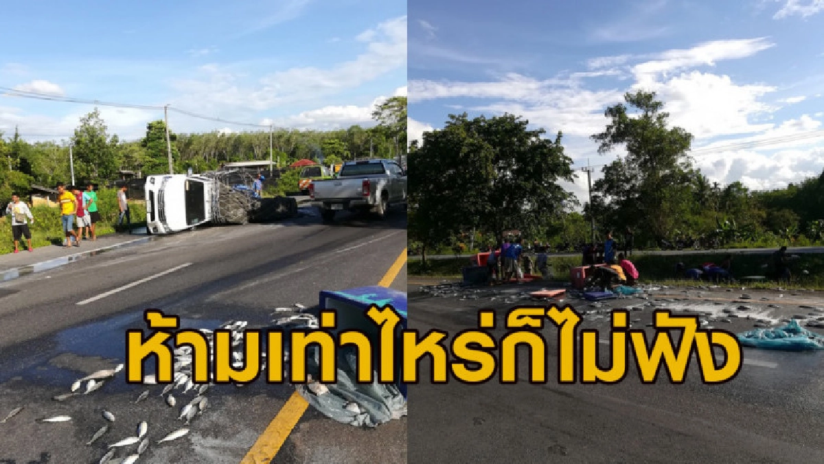 เหตุรถบรรทุกปลาพลิกคว่ำ ชาวบ้านไม่ช่วยแถมจับปลาเอากลับบ้าน เหตุรถบรรทุกปลาพลิกคว่ำ ชาวบ้านไม่ช่วยแถมจับปลาเอากลับบ้าน
