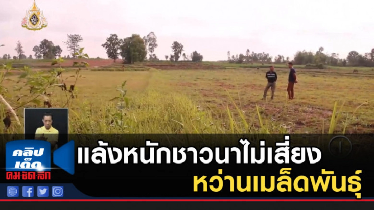แล้งหนักชาวนาไม่เสี่ยงหว่านเมล็ดพันธุ์