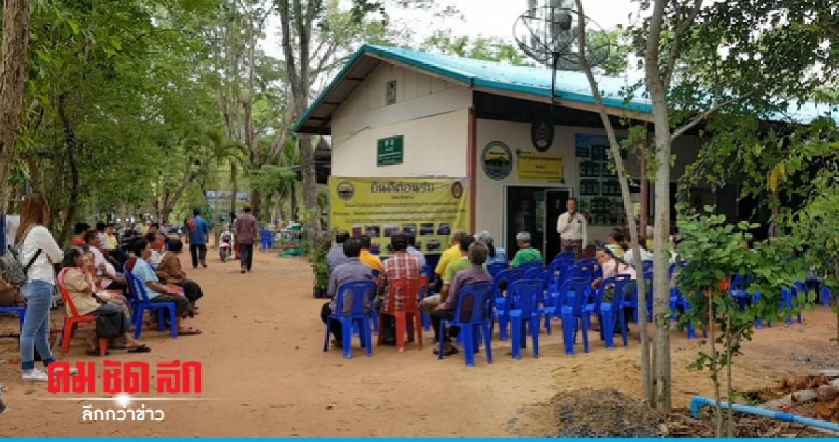 ชาวบัวใหญ่จัดงานบุญสานวัฒนธรรมวันพืชมงคล ชาวบัวใหญ่จัดงานบุญสานวัฒนธรรมวันพืชมงคล