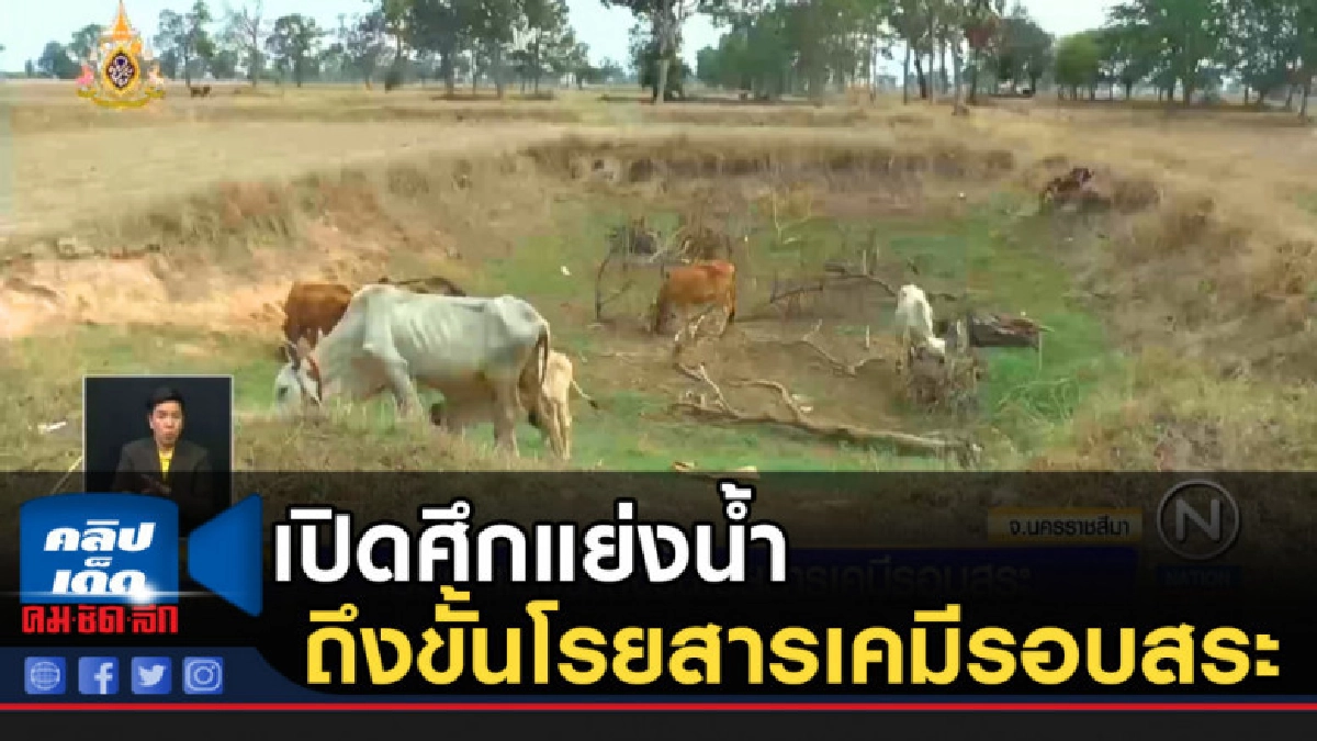 เปิดศึกแย่งน้ำ ถึงขั้นโรยสารเคมีรอบสระ เปิดศึกแย่งน้ำ ถึงขั้นโรยสารเคมีรอบสระ