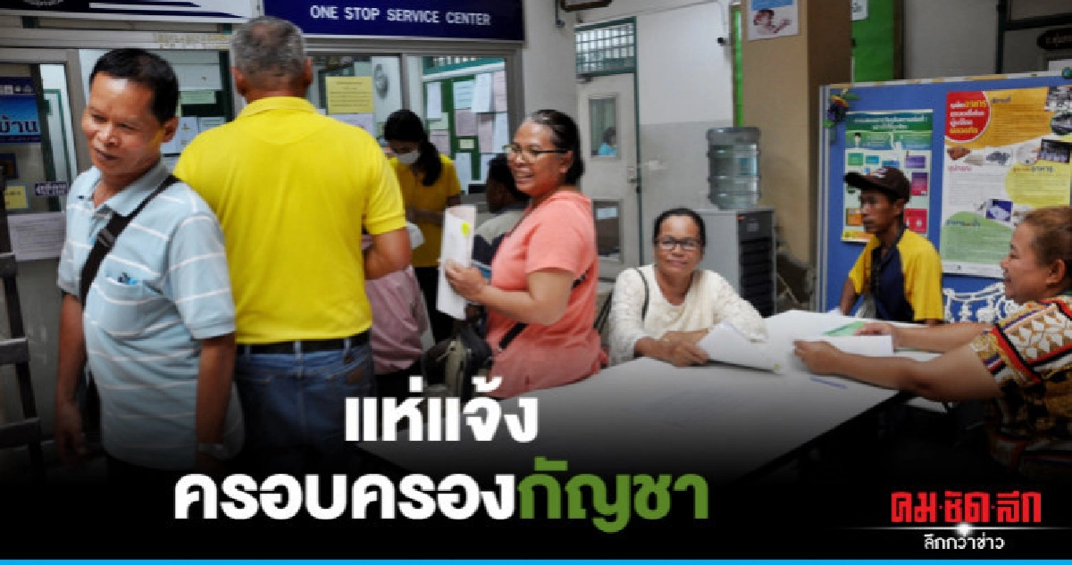 ชาวโคราชแห่แจ้งครอบครอบกัญชากว่า 500 ราย