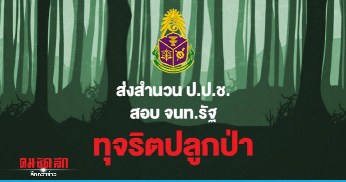 ทุจริตปลูกป่า ดีเอสไอส่งสำนวนให้ป.ป.ช. ทุจริตปลูกป่า ดีเอสไอส่งสำนวนให้ป.ป.ช.