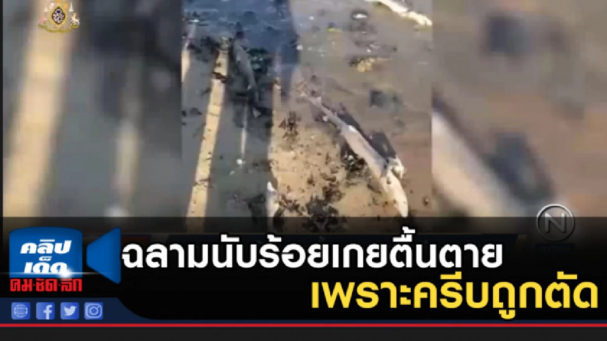 ฉลามนับร้อยเกยตื้นตาย เพราะครีบถูกตัด ฉลามนับร้อยเกยตื้นตาย เพราะครีบถูกตัด