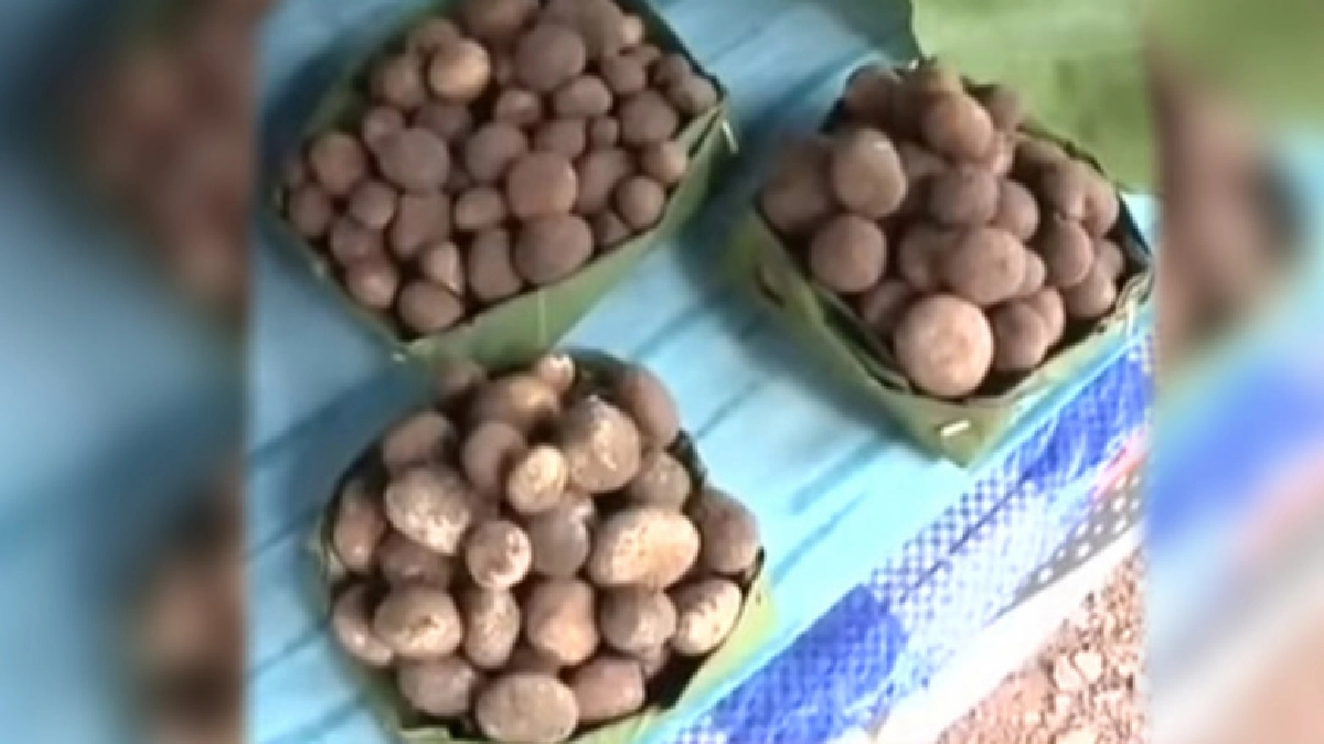 แม่ค้าชี้แจงดราม่าเห็ดเผาะทำใส่กระทง แต่พอเทได้แค่นิดเดียว 