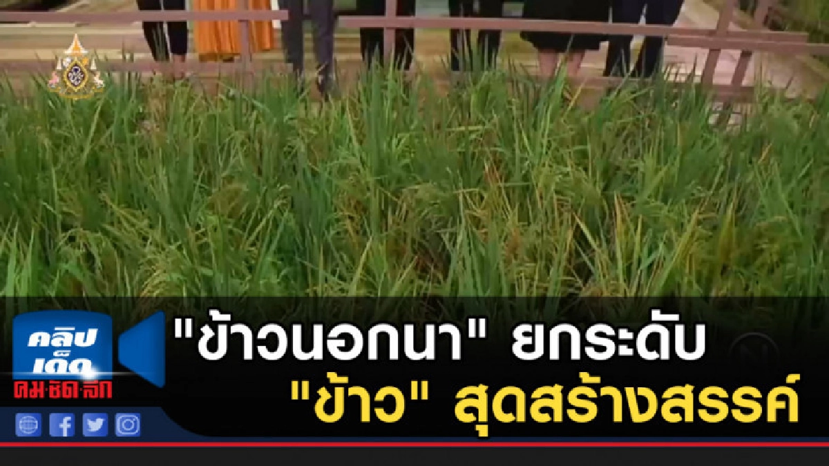 "ข้าวนอกนา" ยกระดับ "ข้าว" สุดสร้างสรรค์ "ข้าวนอกนา" ยกระดับ "ข้าว" สุดสร้างสรรค์