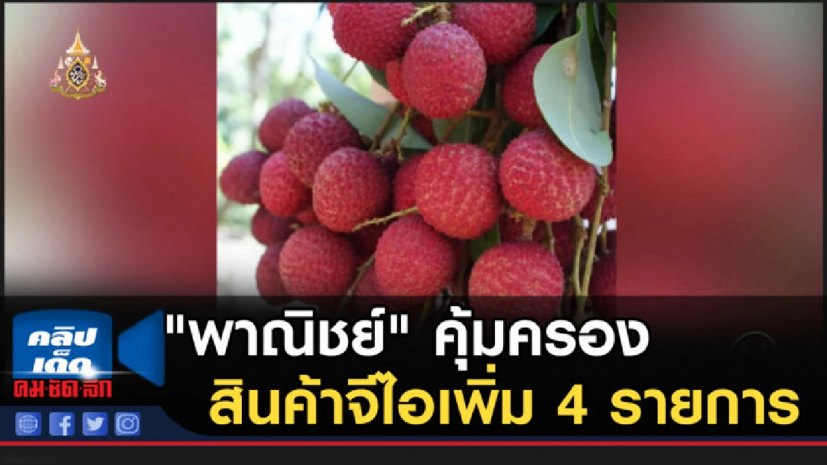 "พาณิชย์" คุ้มครองสินค้าจีไอเพิ่ม 4 รายการ "พาณิชย์" คุ้มครองสินค้าจีไอเพิ่ม 4 รายการ