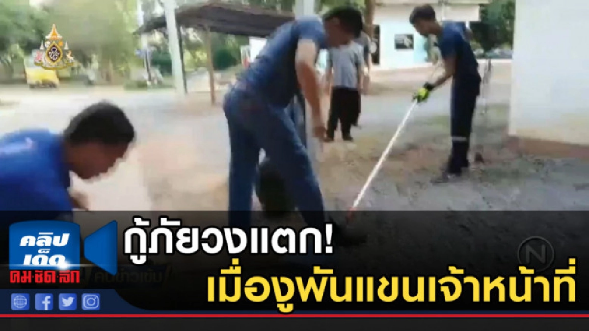 กู้ภัยวงแตก! เมื่องูพันแขนเจ้าหน้าที่ กู้ภัยวงแตก! เมื่องูพันแขนเจ้าหน้าที่