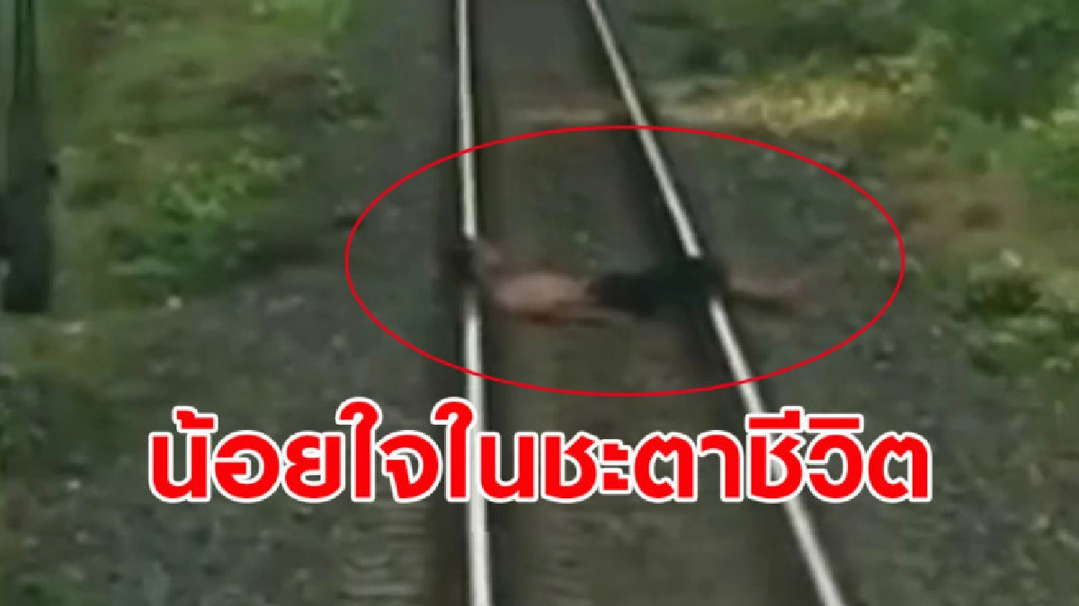 เปิดคลิปหนุ่มใหญ่นอนขวางทางรถไฟหวังให้รถเหยียบ