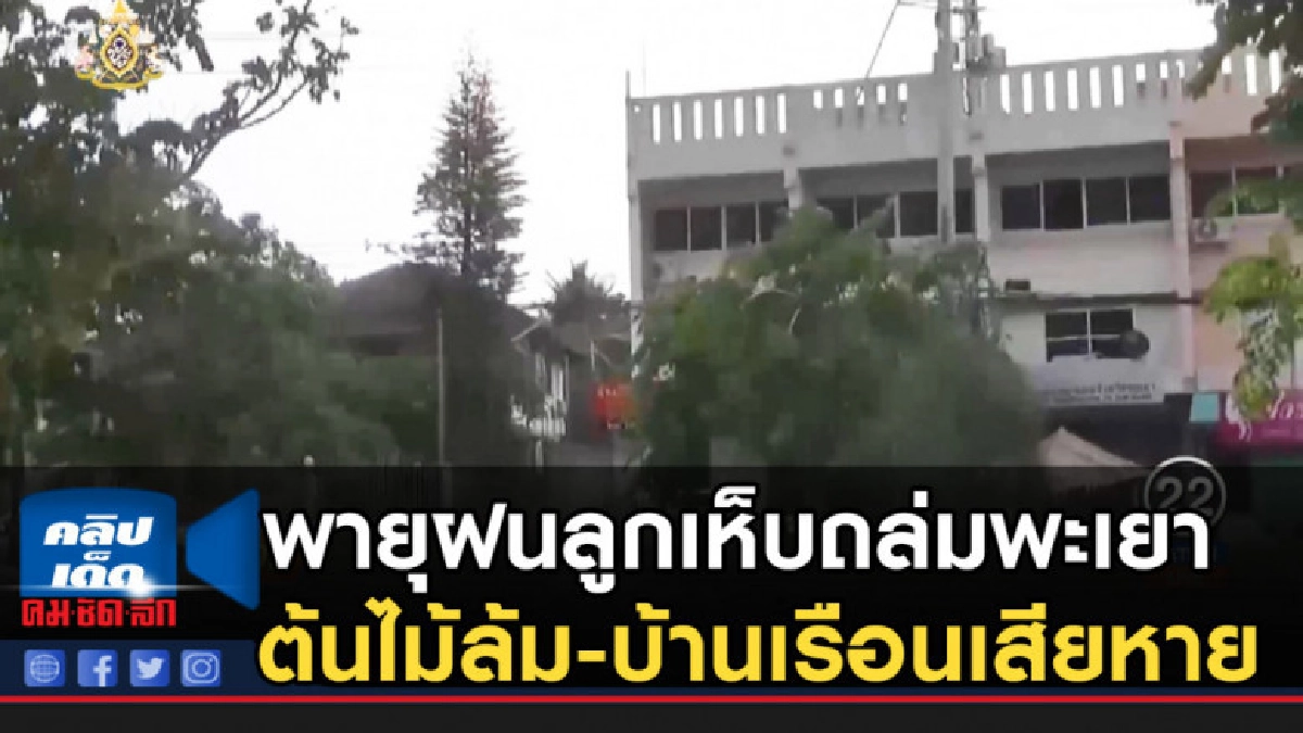พายุฝนลูกเห็บถล่มพะเยา ต้นไม้ล้ม-บ้านเรือนเสียหาย พายุฝนลูกเห็บถล่มพะเยา ต้นไม้ล้ม-บ้านเรือนเสียหาย