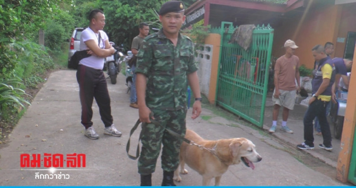 รวบเสพขยายผลจับเอเย่นต์ รวบเสพขยายผลจับเอเย่นต์