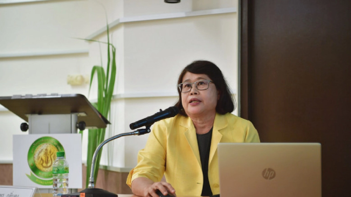 ม.ก.วิจัยสำเร็จอ้อยปลอดโรค"ใบขาว" ม.ก.วิจัยสำเร็จอ้อยปลอดโรค"ใบขาว"