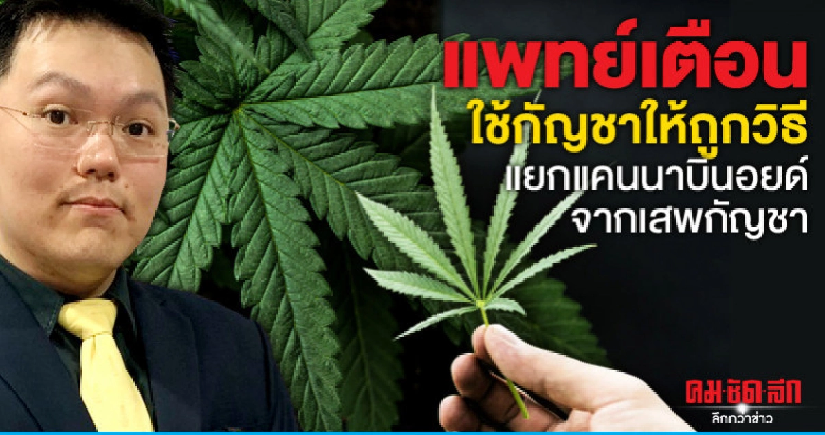แพทย์เตือนใช้กัญชาให้ถูกวิธี แยกแคนนาบินอยด์จากเสพกัญชา