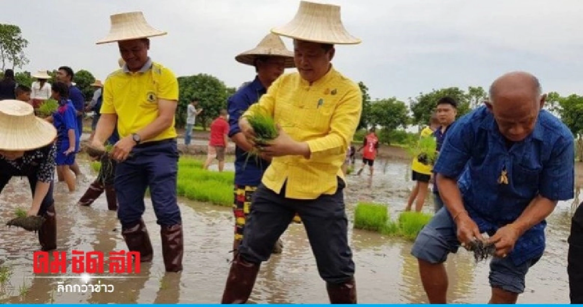 อธิบดี สถ.เปิดศูนย์เรียนรู้ 'แปลงนากลางเมือง'