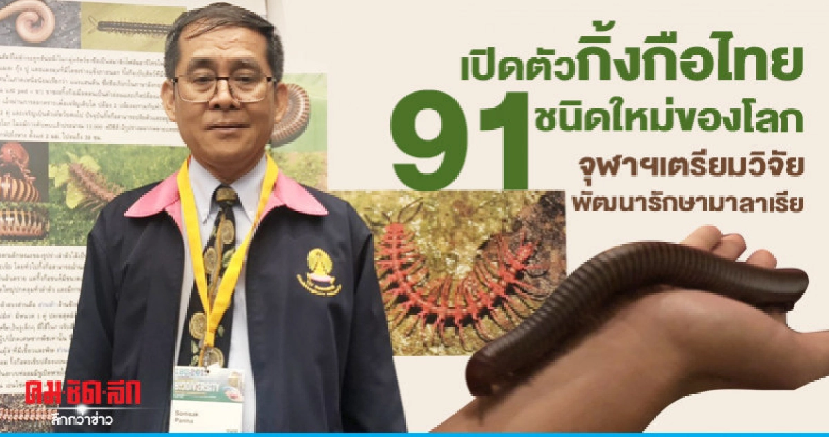 เปิดตัวกิ้งกือไทย91ชนิดจุฬาฯเตรียมวิจัยพัฒนารักษามาลาเรีย
