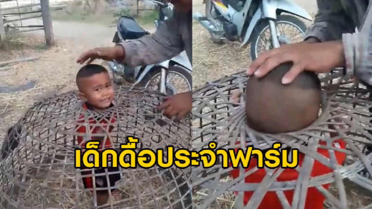 หนูน้อยสุดแสบเล่นซนสุดท้ายหัวติดสุ่มไก่ต้องช่วยกันวุ่น