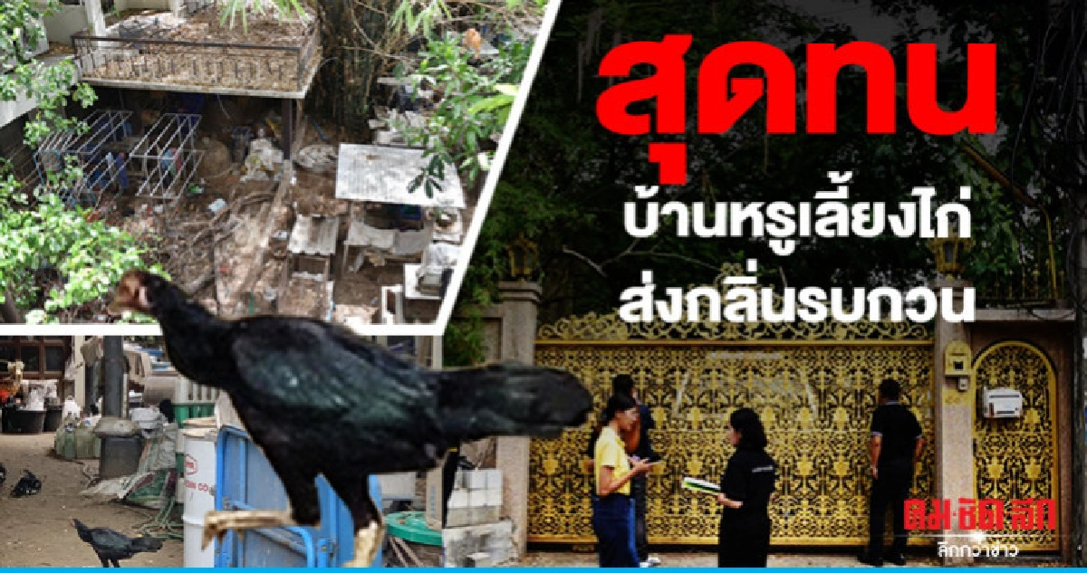 "สุดทน"บ้านหรูเลี้ยงไก่กลิ่นเหม็นเจ้าของเตรียมย้าย "สุดทน"บ้านหรูเลี้ยงไก่กลิ่นเหม็นเจ้าของเตรียมย้าย