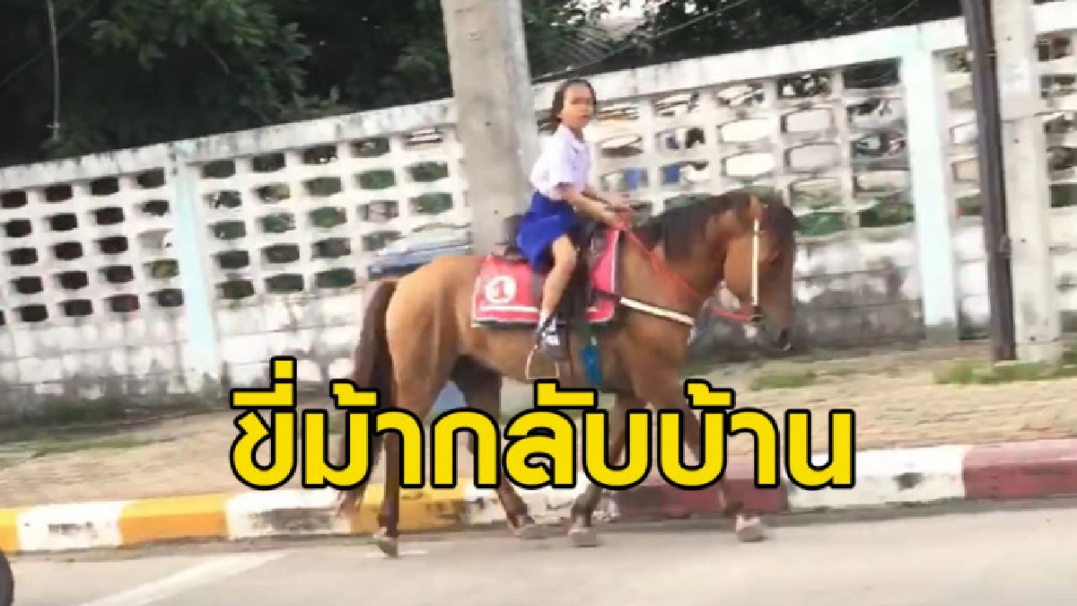 ลดมลพิษ คลิปนักเรียนหญิงขี่ม้ากลับจากโรงเรียน ลดมลพิษ คลิปนักเรียนหญิงขี่ม้ากลับจากโรงเรียน