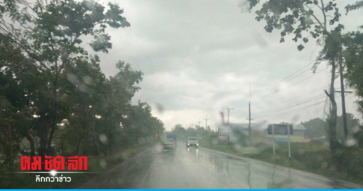 ฝนตกต่อเนื่องข้าวนับหมื่นไร่มีความหวัง ฝนตกต่อเนื่องข้าวนับหมื่นไร่มีความหวัง
