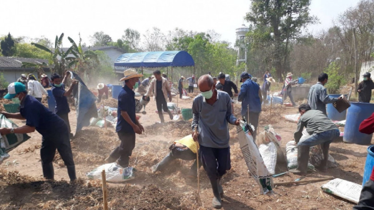 เกษตรฯรวมพลังหยุดการเผา จากไร่นาสู่สิ่งแวดล้อมอย่างยั่งยืน เกษตรฯรวมพลังหยุดการเผา จากไร่นาสู่สิ่งแวดล้อมอย่างยั่งยืน
