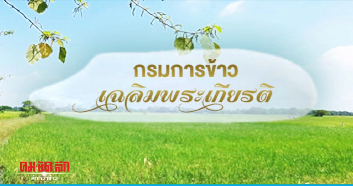 "กรมการข้าว"เฉลิมพระเกียรติชูต้นแบบศูนย์ข้าว-พันธุ์ใหม่ "กรมการข้าว"เฉลิมพระเกียรติชูต้นแบบศูนย์ข้าว-พันธุ์ใหม่
