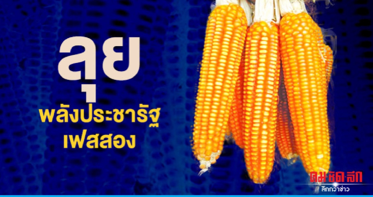 กษ.ลุยโครงการสานพลังประชารัฐเฟสสอง กษ.ลุยโครงการสานพลังประชารัฐเฟสสอง