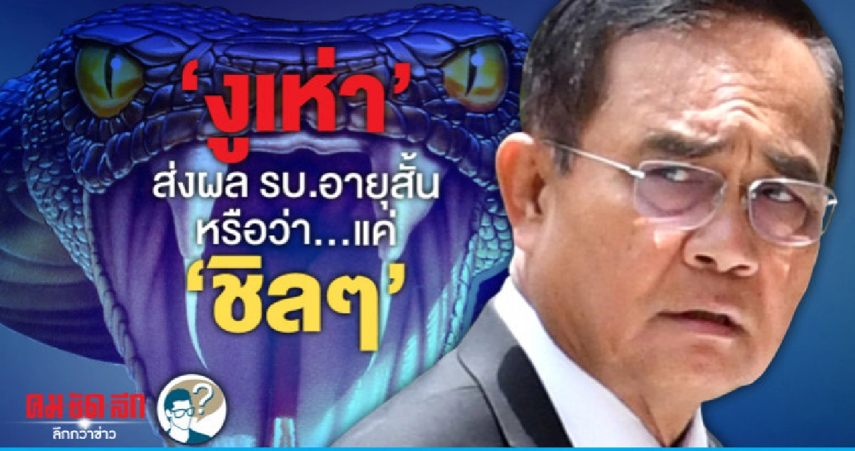 "งูเห่า"ส่งผลรบ.อายุสั้น หรือว่า..แค่"ชิลๆ"  