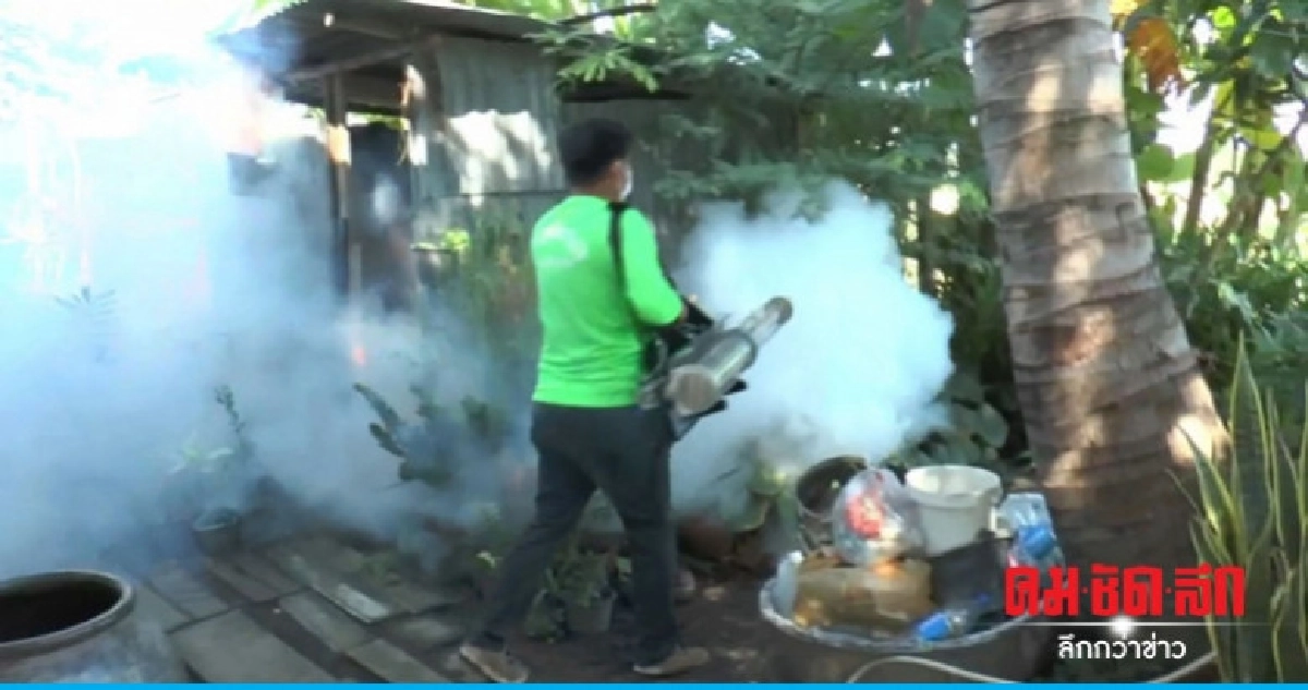 โคราชไข้เลือดออกระบาด โคราชไข้เลือดออกระบาด