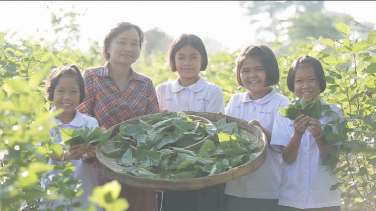 กรมหม่อนไหมมุ่งสร้าง " ทายาทหม่อนไหมในโรงเรียน"