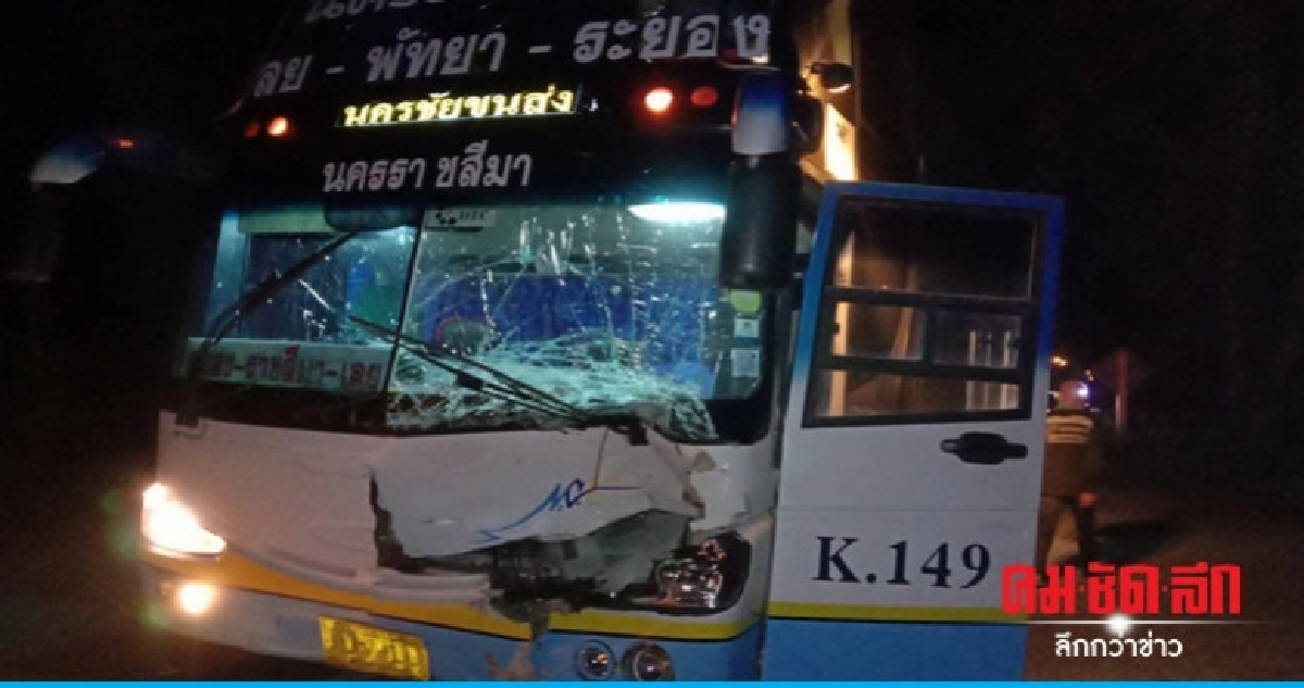 รถทัวร์ชนวัวข้ามถนน