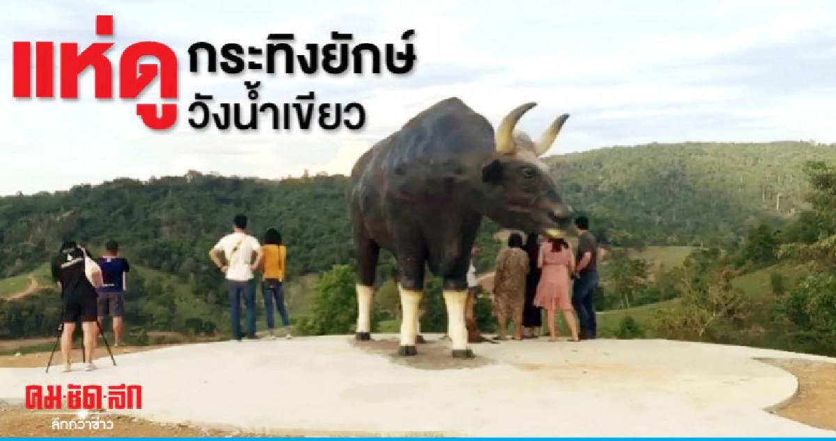 นักท่องเที่ยวแห่ดูกระทิงยักษ์วังน้ำเขียว นักท่องเที่ยวแห่ดูกระทิงยักษ์วังน้ำเขียว
