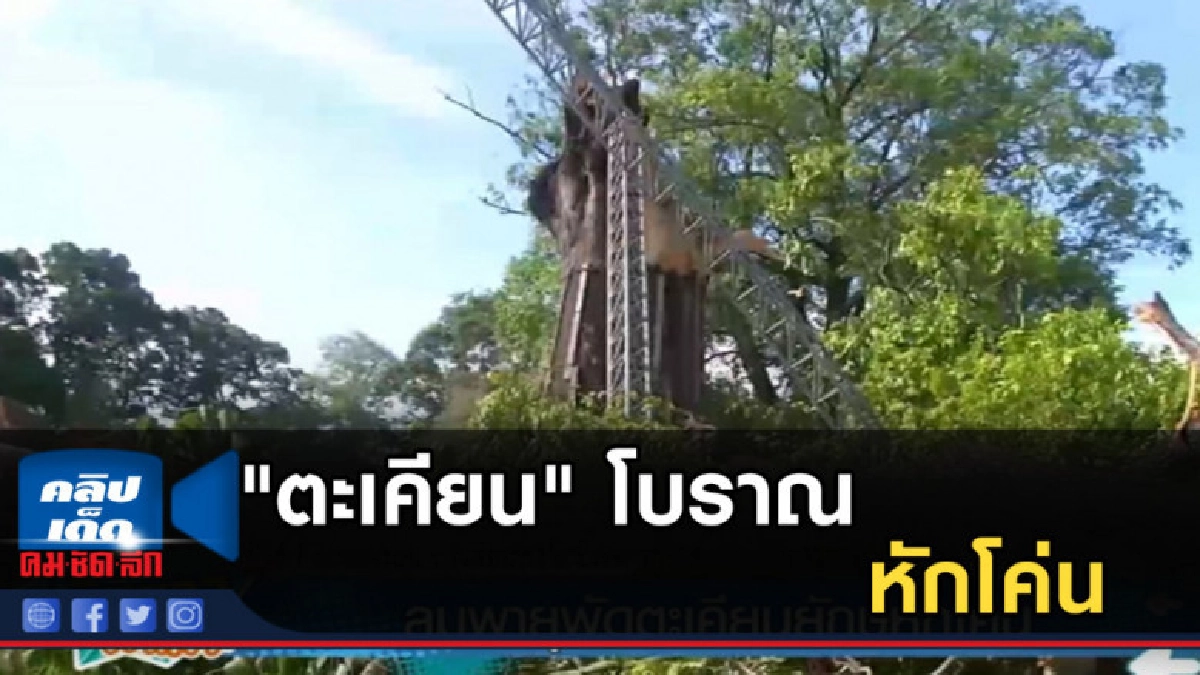 พายุพัดถล่มพิจิตร "ตะเคียน" โบราณอายุกว่า 300 ปีหักโค่น พายุพัดถล่มพิจิตร "ตะเคียน" โบราณอายุกว่า 300 ปีหักโค่น