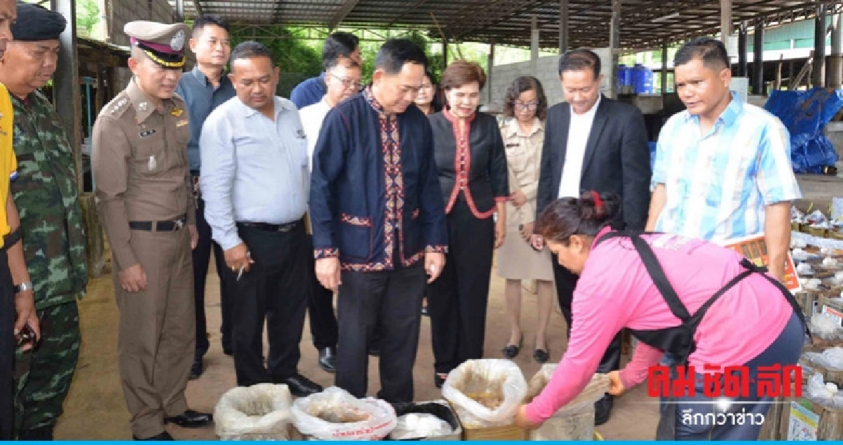 พิสูจน์ขั้นตอนผลิตปลาร้ากาฬสินธุ์คุณภาพสะอาดปลอดภัย พิสูจน์ขั้นตอนผลิตปลาร้ากาฬสินธุ์คุณภาพสะอาดปลอดภัย