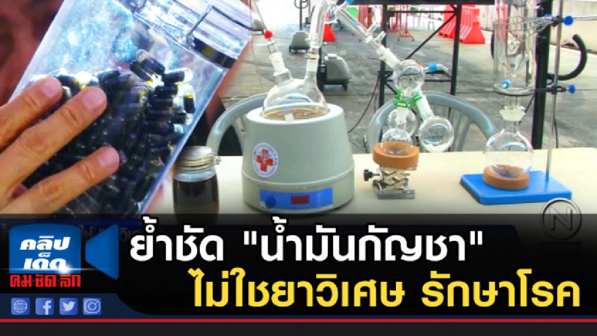 ย้ำชัด "น้ำมันกัญชา" ไม่ใชยาวิเศษ รักษาโรคต่างๆ ได้