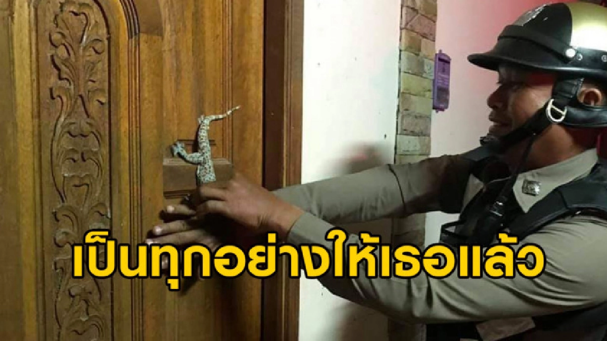 ตร.บึงกาฬ ช่วยจับตุ๊กแก หลังรับแจ้งขอความช่วยเหลือจากครูสาว ตร.บึงกาฬ ช่วยจับตุ๊กแก หลังรับแจ้งขอความช่วยเหลือจากครูสาว