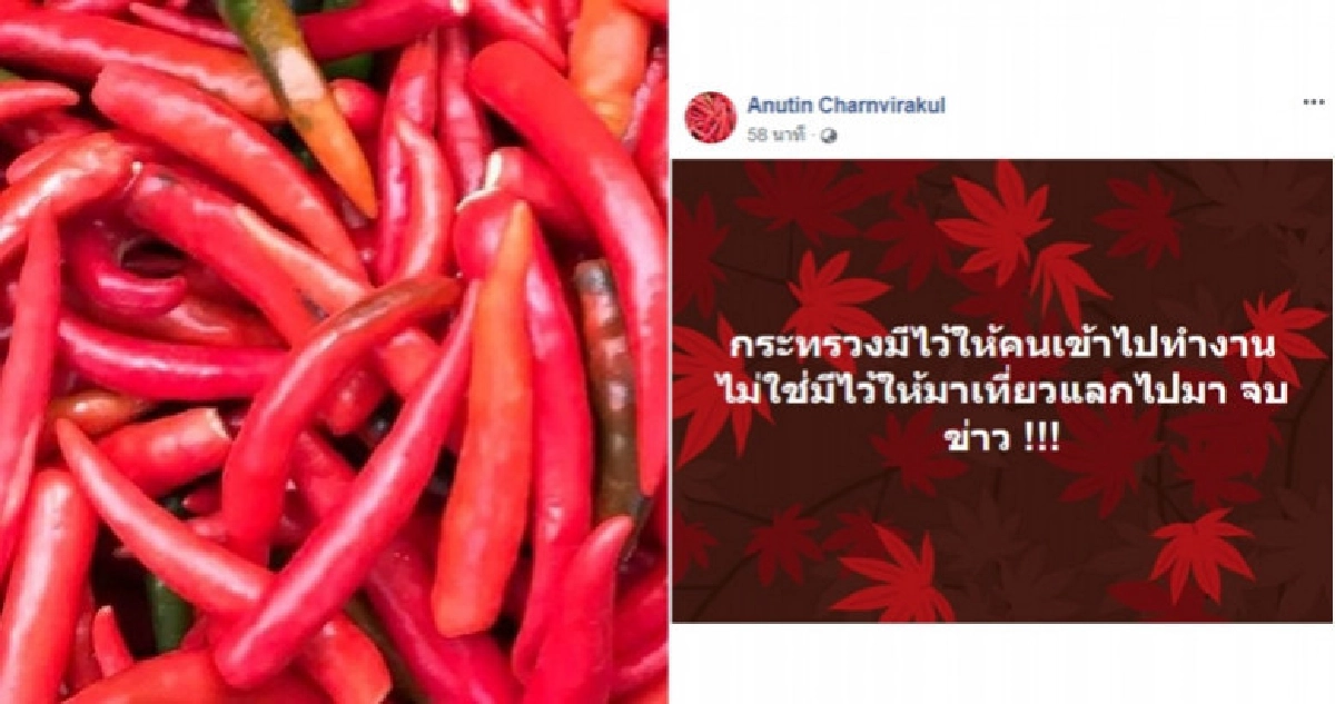 "อนุทิน" ชี้ "กระทรวง" ไม่ใช่มีไว้แลกไปมา "อนุทิน" ชี้ "กระทรวง" ไม่ใช่มีไว้แลกไปมา