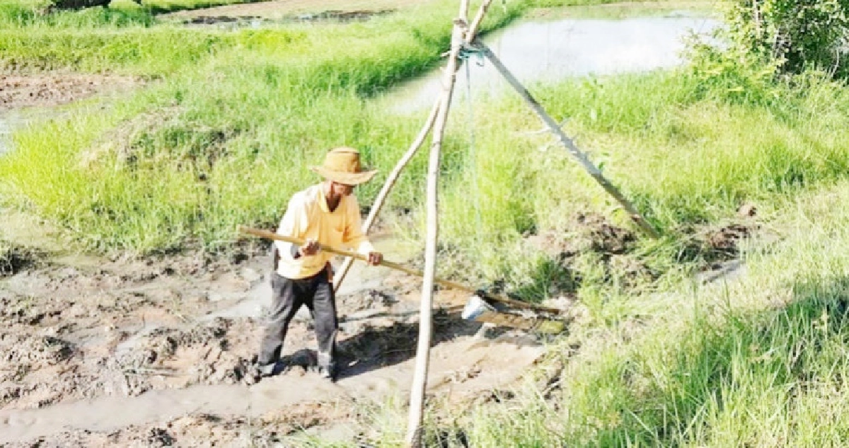 "ฝนกระหน่ำ"ชาวนาโคราชเร่งใช้ระหัดวิดน้ำออกจากนา