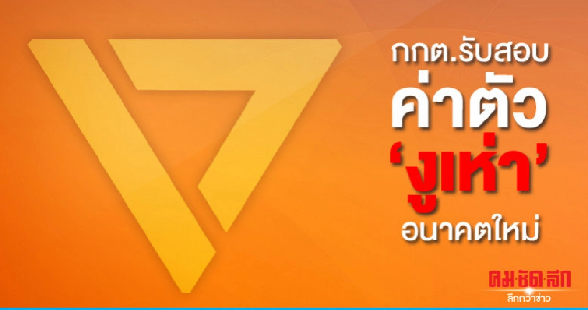 กกต.รับสอบค่าตัว"งูเห่า"อนาคตใหม่ กกต.รับสอบค่าตัว"งูเห่า"อนาคตใหม่