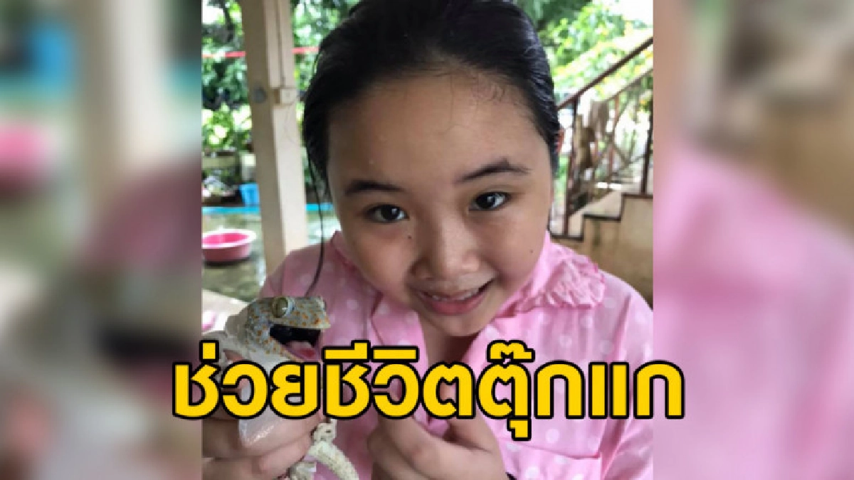 แชร์เรื่องราวแม่ลูกช่วยชีวิตตุ๊กแก จากความกลัวกลายเป็นห่วงใย แชร์เรื่องราวแม่ลูกช่วยชีวิตตุ๊กแก จากความกลัวกลายเป็นห่วงใย