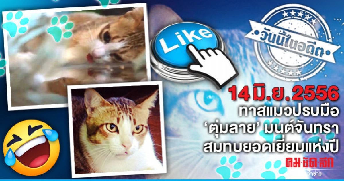 ทาสแมวปรบมือ "ตุ่มลาย" มนต์จันทรา สมทบยอดเยี่ยมแห่งปี