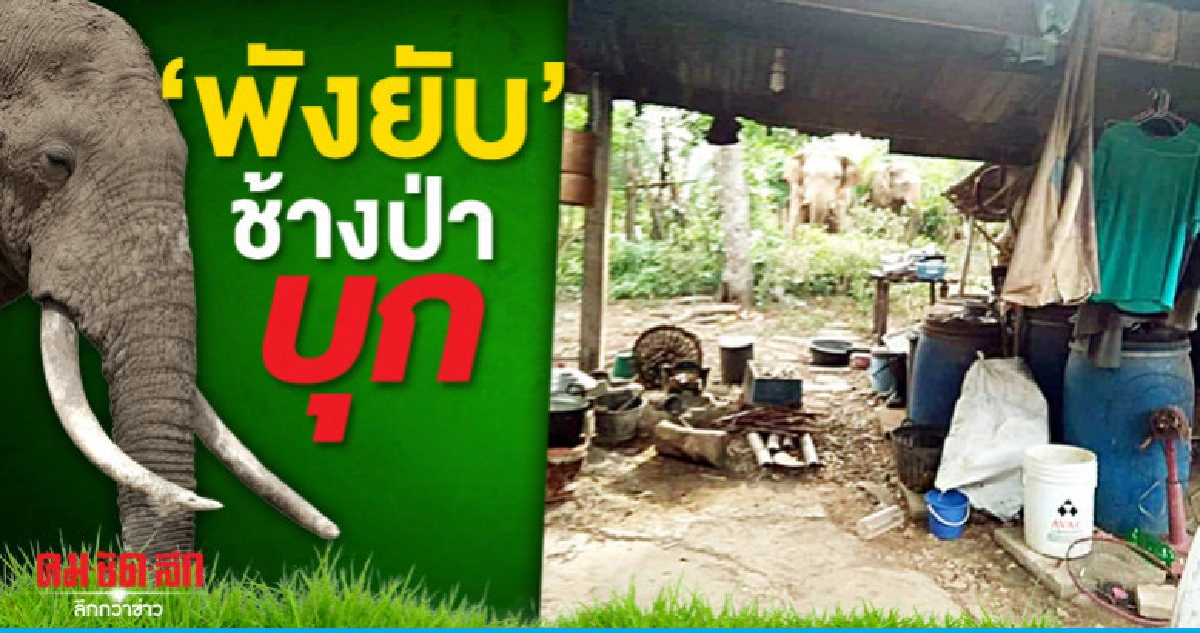 ช้างป่าวังน้ำเขียวบุกทำลายข้าวของพังยับ