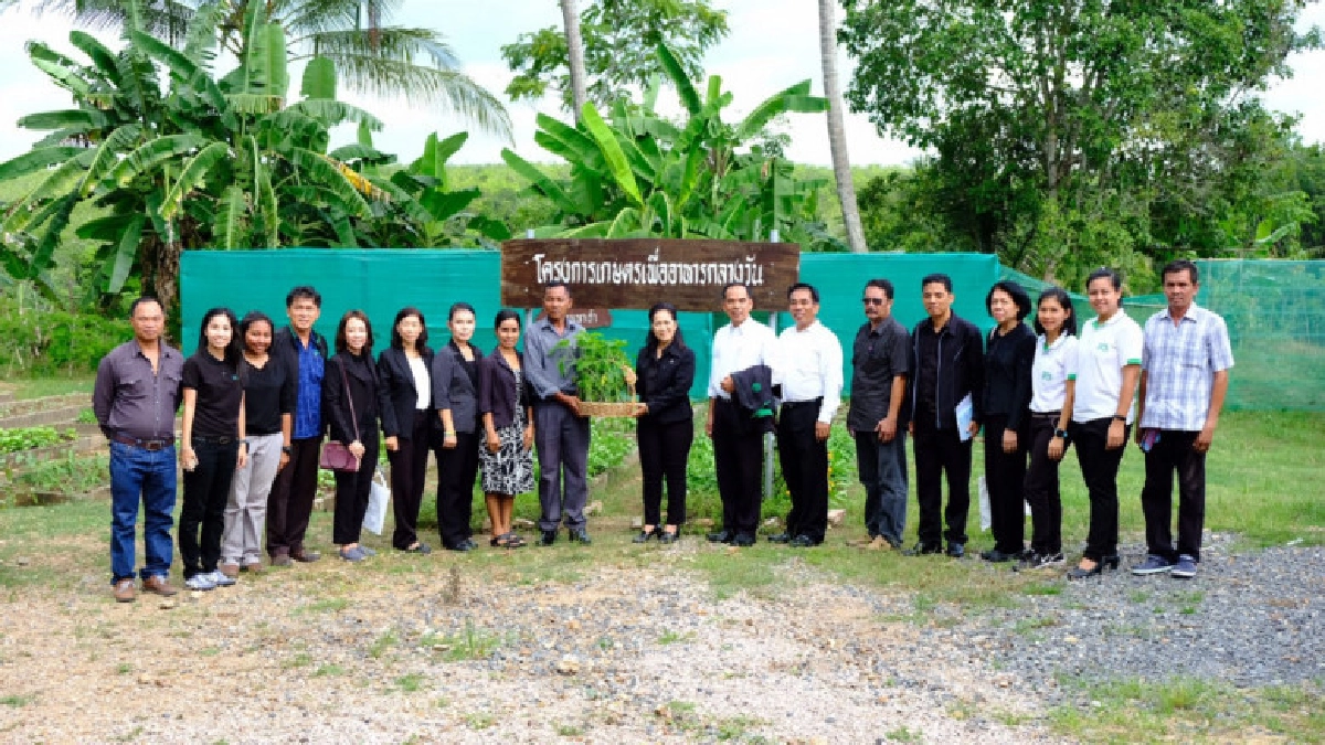 กรมส่งเสริมฯสืบสานโครงการตามพระราชดำริเกษตรเพื่ออาหารกลางวัน