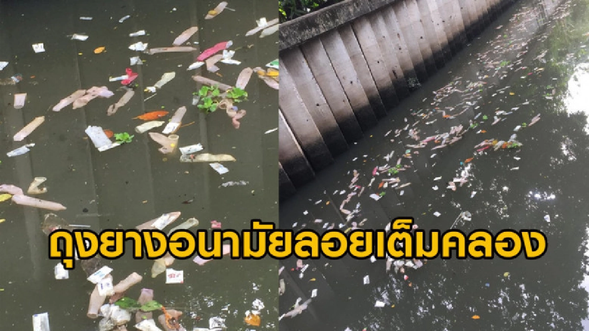 ชาวบ้านผงะ พบถุงยางอนามัยที่ใช้แล้วลอยเกลื่อนคลองบางกอกใหญ่ ชาวบ้านผงะ พบถุงยางอนามัยที่ใช้แล้วลอยเกลื่อนคลองบางกอกใหญ่