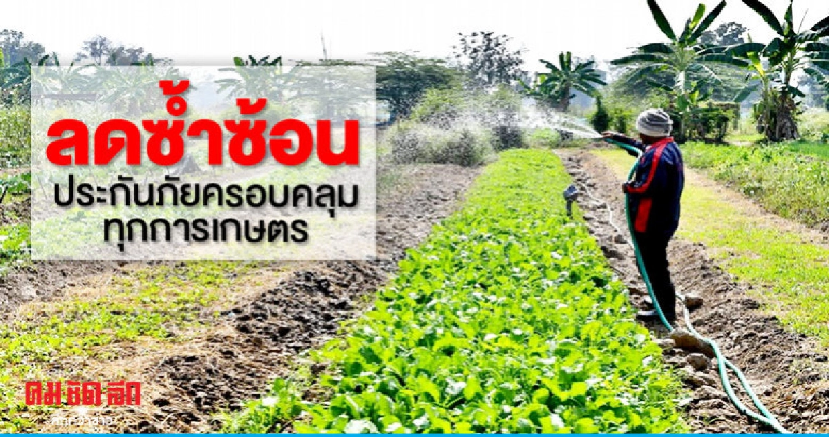 "ลดซ้ำซ้อน"ประกันครอบคลุมเกษตรทุกชนิด "ลดซ้ำซ้อน"ประกันครอบคลุมเกษตรทุกชนิด