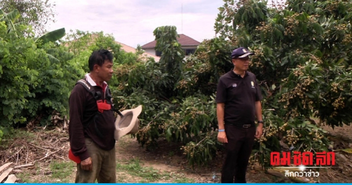 คัดแยกขยะทำเกษตรอินทรีย์ขายผักปลอดสารรายได้ดี คัดแยกขยะทำเกษตรอินทรีย์ขายผักปลอดสารรายได้ดี